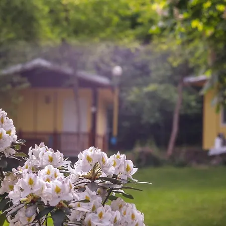 Peaceful And Tranquil Bungalow Retreat In Kamena Village Near Nature Guest house Kamena